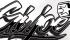 Typography