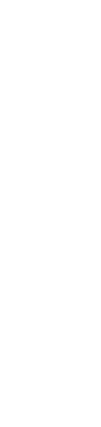 Overlay: Gallery Next Image