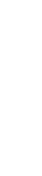 Overlay: Gallery Previous Image