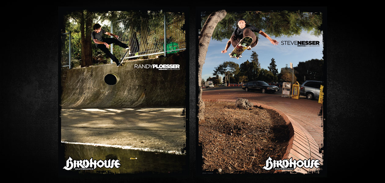 BIRDHOUSE SKATEBOARDS: Birdhouse 2010 Ad Campaign