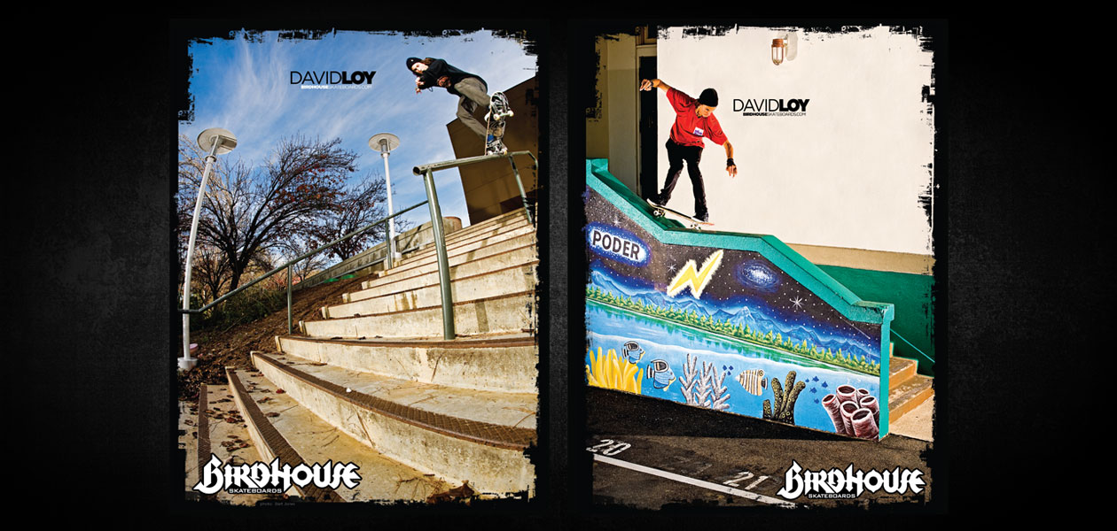 BIRDHOUSE SKATEBOARDS: Birdhouse 2010 Ad Campaign