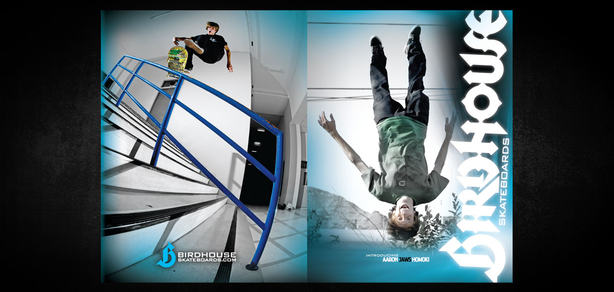 BIRDHOUSE SKATEBOARDS: Birdhouse 2009 Ad Campaign