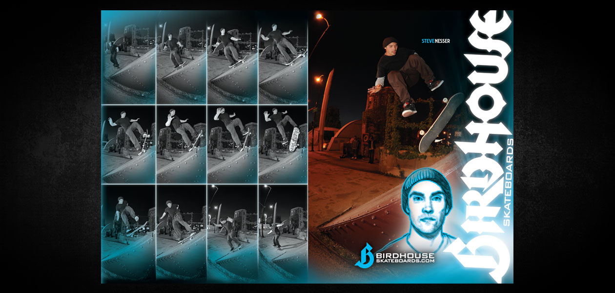 BIRDHOUSE SKATEBOARDS: Birdhouse 2009 Ad Campaign