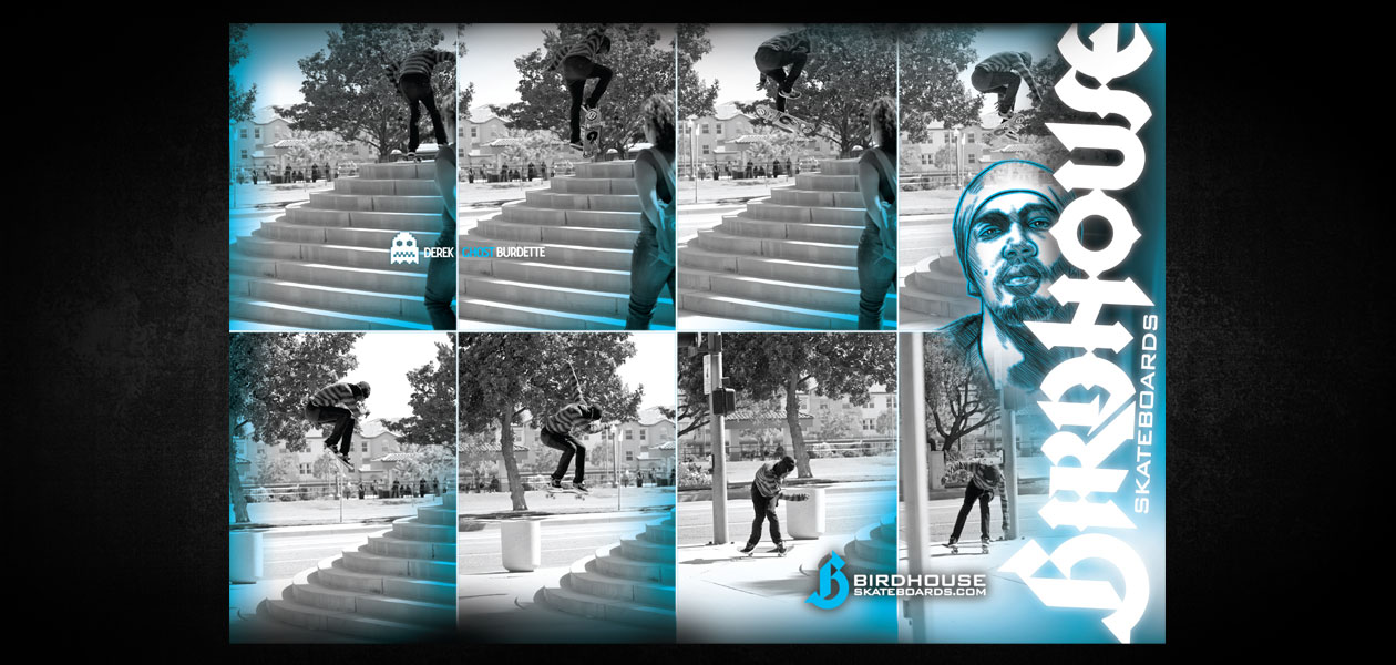 BIRDHOUSE SKATEBOARDS: Birdhouse 2009 Ad Campaign